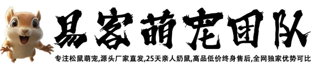 图片[3]-红腹松鼠26条购前声明「务必仔细阅读」-易客萌宠官网