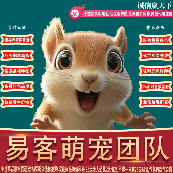 图片[4]-红腹松鼠26条购前声明「务必仔细阅读」-易客萌宠官网