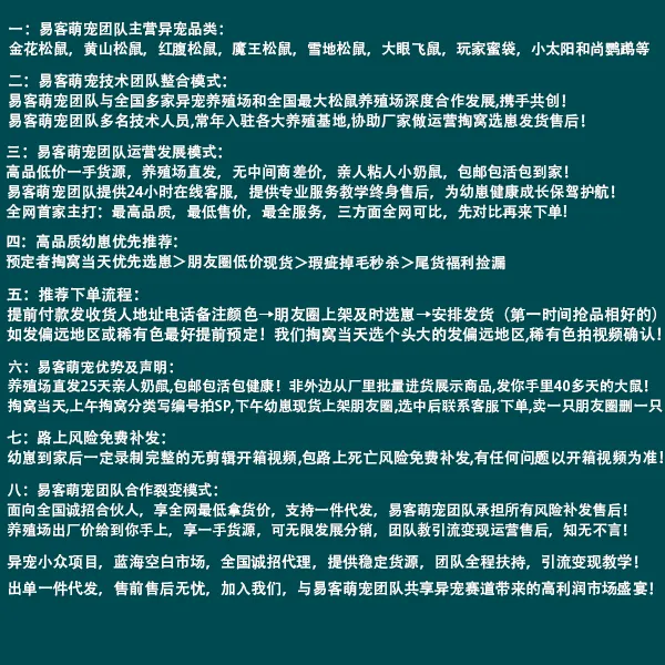 图片[6]-红腹松鼠26条购前声明「务必仔细阅读」-易客萌宠官网