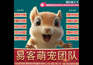 红腹松鼠26条购前声明「务必仔细阅读」-易客萌宠官网