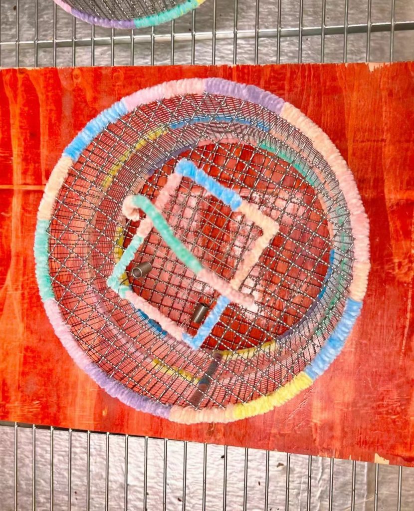 图片[1]-松鼠专业双层跑笼（防卡脚拉伤）-易客萌宠官网