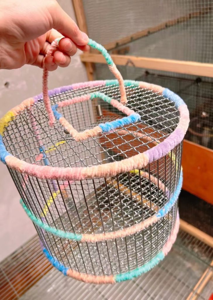 图片[3]-松鼠专业双层跑笼（防卡脚拉伤）-易客萌宠官网