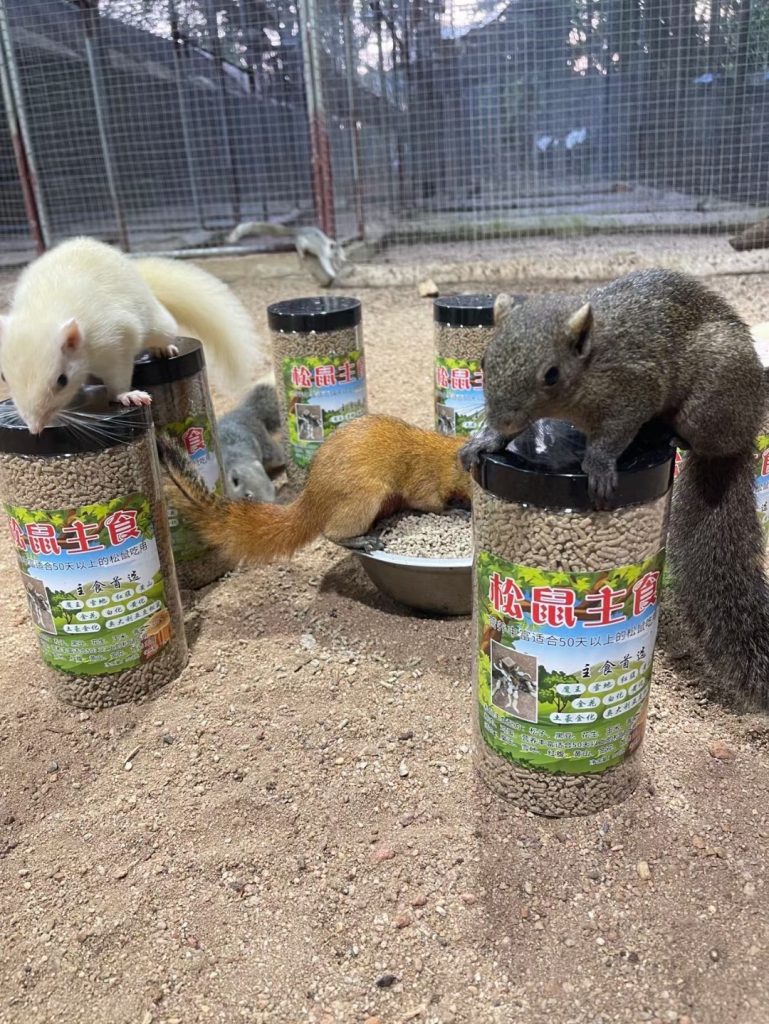 图片[4]-红腹松鼠专用鼠粮（预防缺钙瘫痪）-易客萌宠官网