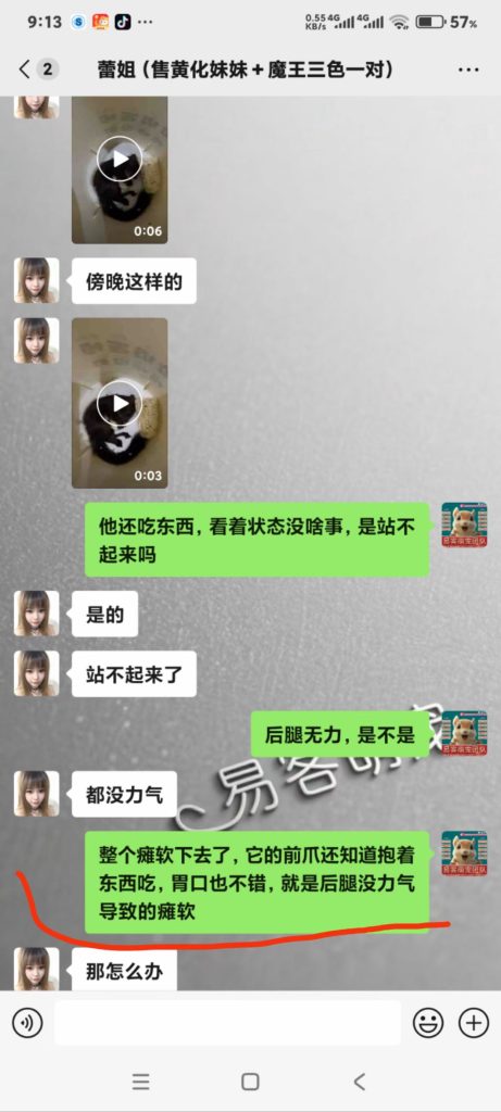 图片[10]-红腹松鼠专用鼠粮（预防缺钙瘫痪）-易客萌宠官网