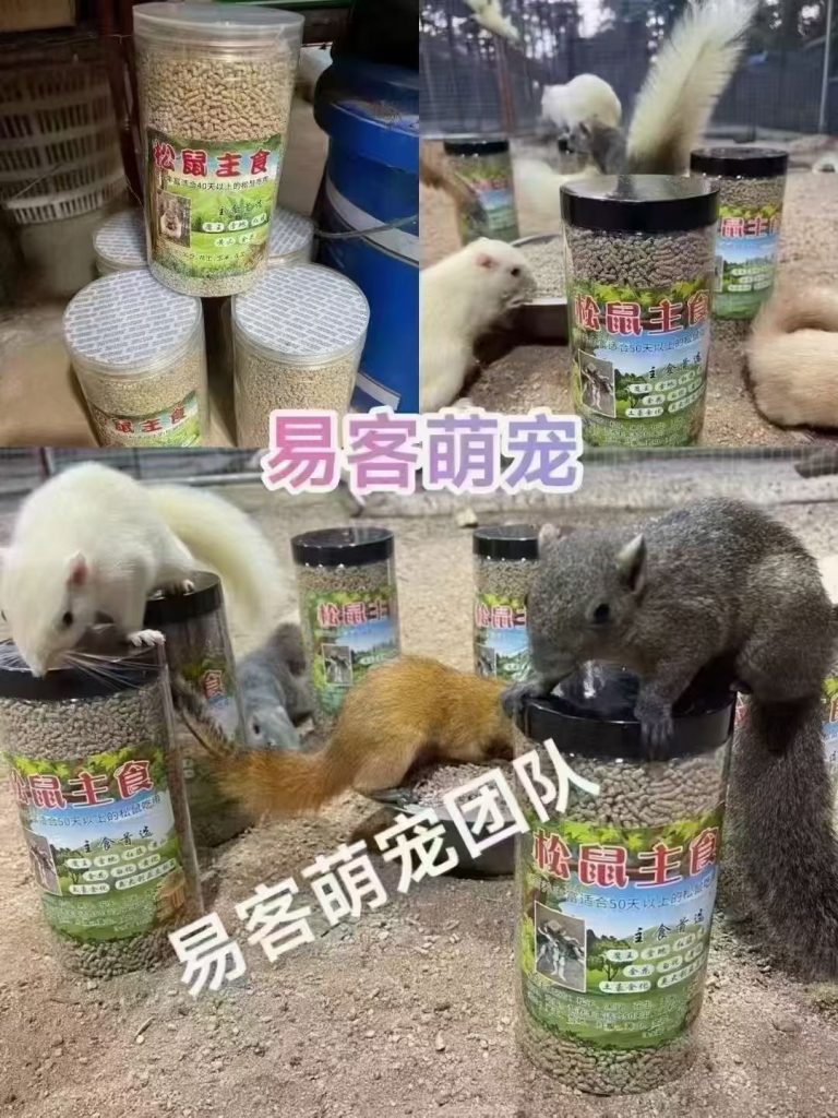 图片[12]-红腹松鼠专用鼠粮（预防缺钙瘫痪）-易客萌宠官网