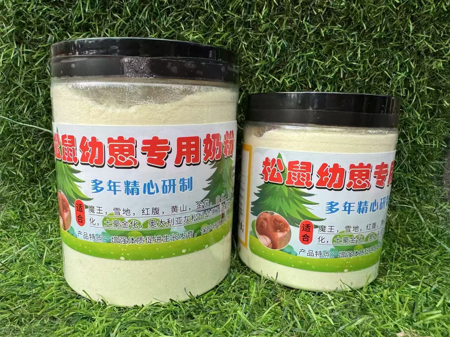 红腹松鼠专用奶粉-易客萌宠官网